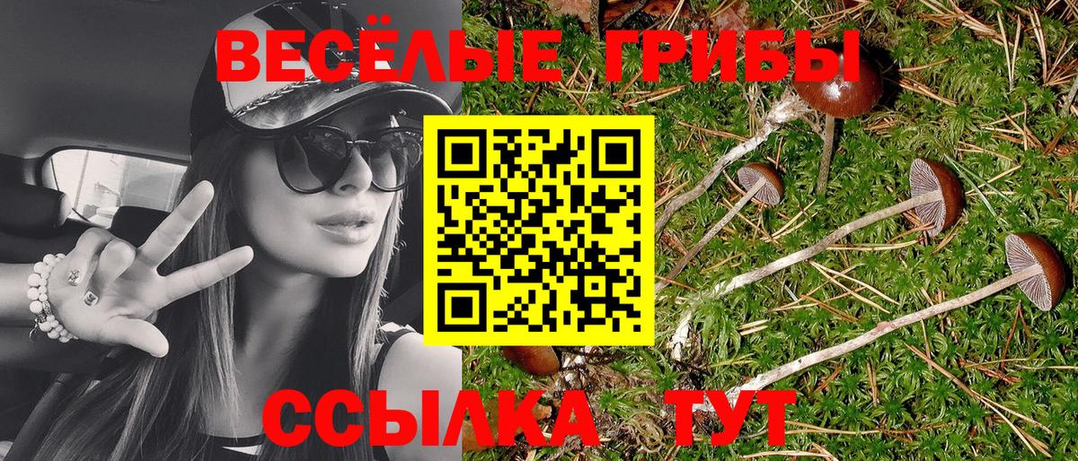 Псилоцибиновые грибы Psilocybine cubensis  Вход с VPN  Владикавказ 