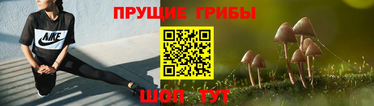 Галлюциногенные грибы Psilocybe Владикавказ